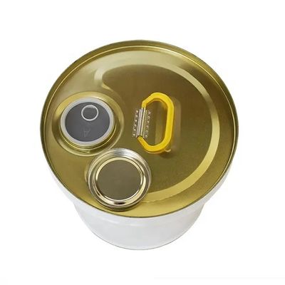 19L 5 Gallon Stalen Strakke Hoofd Emmer Met Flex Spout Deksel Voor Dunner