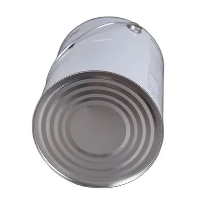 19L 5 Gallon Stalen Strakke Hoofd Emmer Met Flex Spout Deksel Voor Dunner